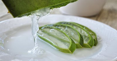 Aloes w żelu vs aloes w świeżej roślinie - co lepiej działa na twarz